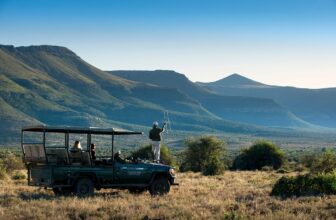 Rewilding the Karoo