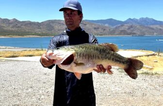 Arizona Angler Catches 16.57-Pound Bass