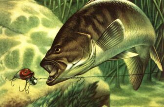 Old School Tactics for Catching Fall Smallmouth Bass