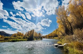 A Proposal to Limit Fishing on a Legendary Stretch of Colorado’s Blue River Sparks Controversy