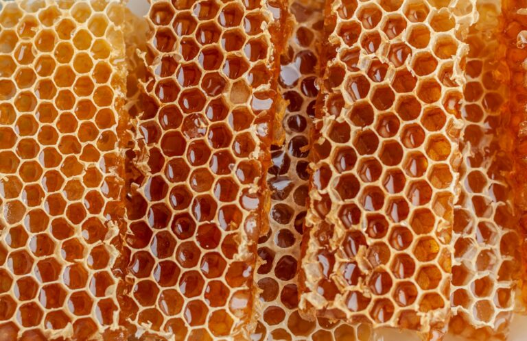Raw Honeycomb