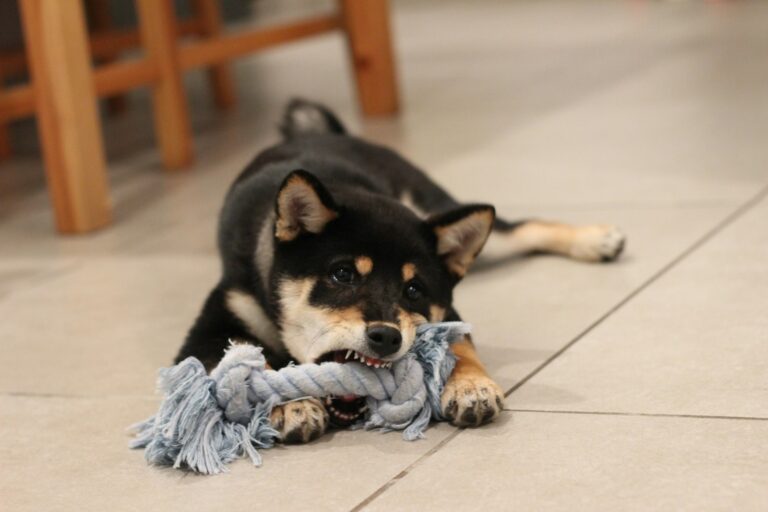 Braided Tug Rope